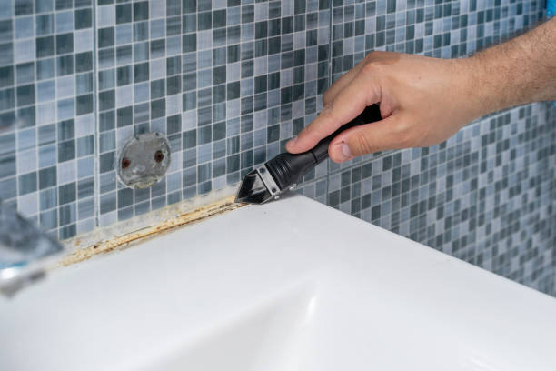 Best Local Mold Removal Service  in Waipahu, HI
