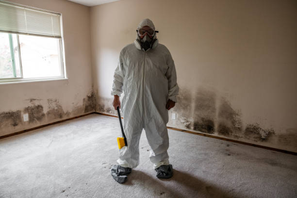 Best Mold Damage Repair  in Waipahu, HI